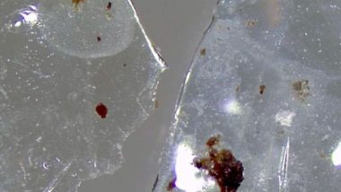 Contact Lens Disposal