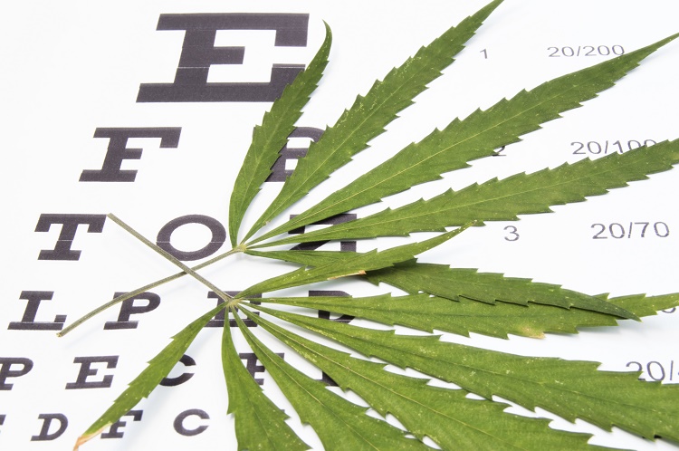 Medical Marijuana: Not Useful for Glaucoma