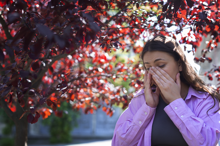 seasonal allergies and your eyes